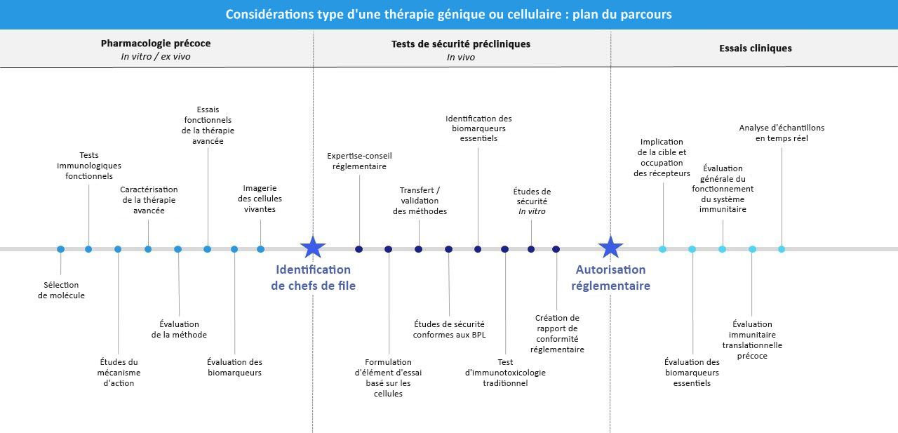 Considérations typiques d'une thérapie cellulaire ou génique : plan du parcours. Pharmacologie précoce (in vivo/ex vivo), essais de sécurité préclinique (in vivo), essais cliniques